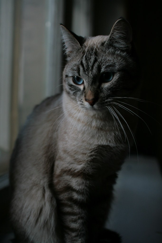 Дмитрий Романов | Смоленск