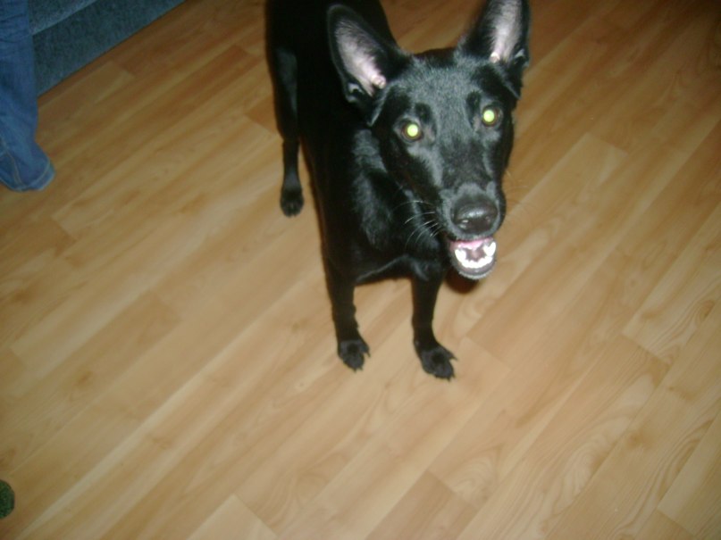 Полина Хромова | Ульяновск