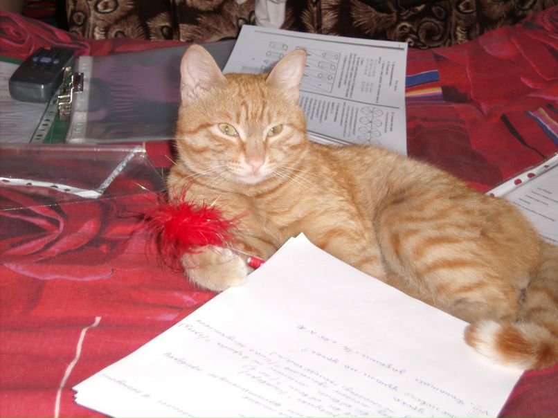 Олеся Борисова ♂ღ ♥ОдНа ТаКаЯ♥ღ♀ | Красноярск