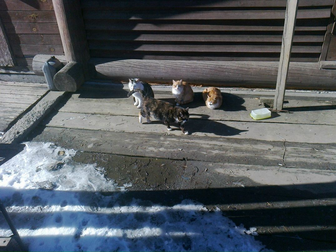 Антон Кирмель | Санкт-Петербург