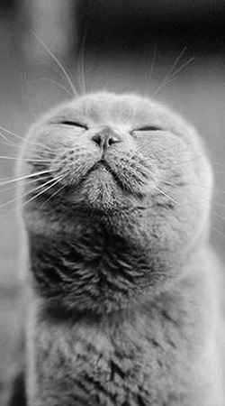 Maxim Evgenevich | Саров