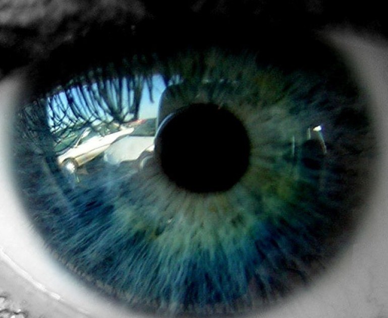 Вячеслав Алешновский | Волжский