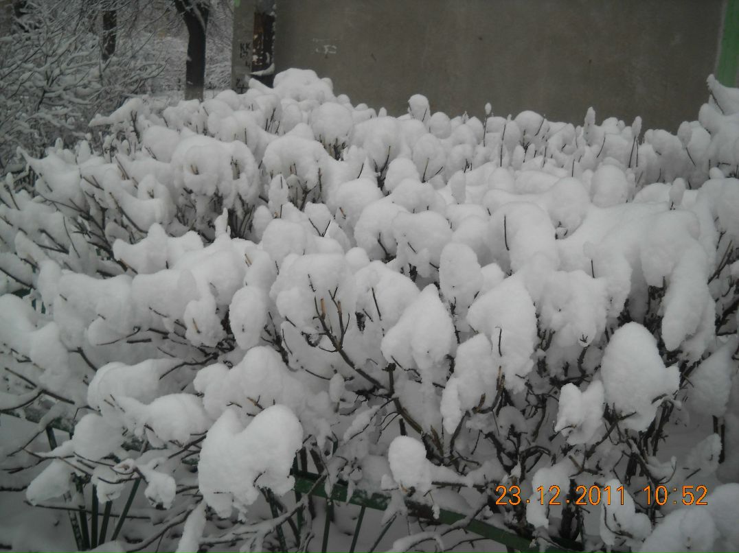 Юрий Бурыкин | Брянск