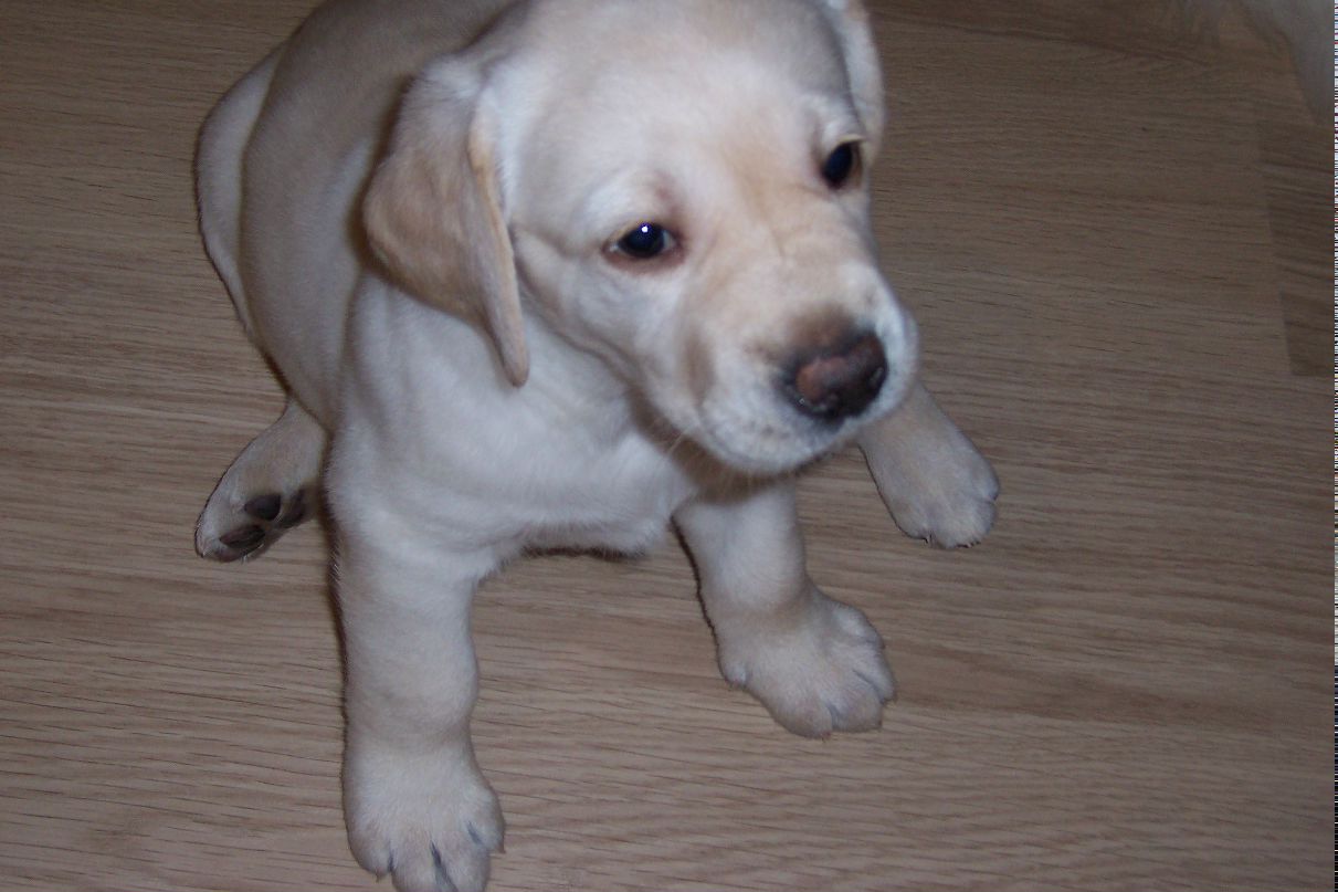 Анастасия Хлопова | Киров