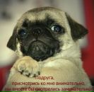 №31 Елена Кугатова 02.06.1985: профиль, фото, статус - ВКонтакте