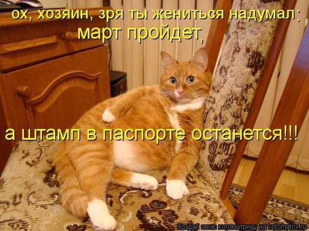 Елена Смирнова | Санкт-Петербург