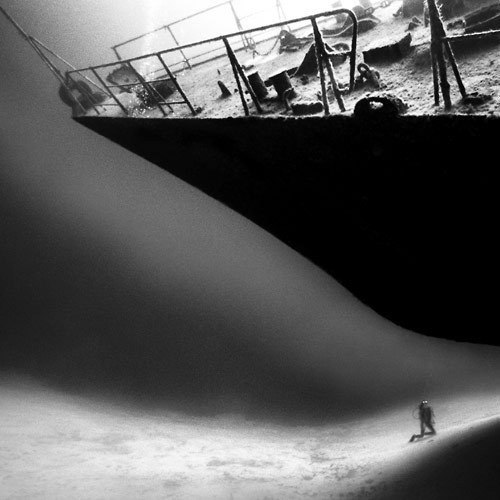 Дмитрий Заморев | 