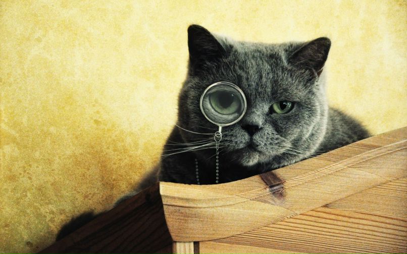 Иван Дюндиков M@rucTp | Омск