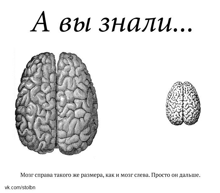 Виктор Няшный | Bratislava