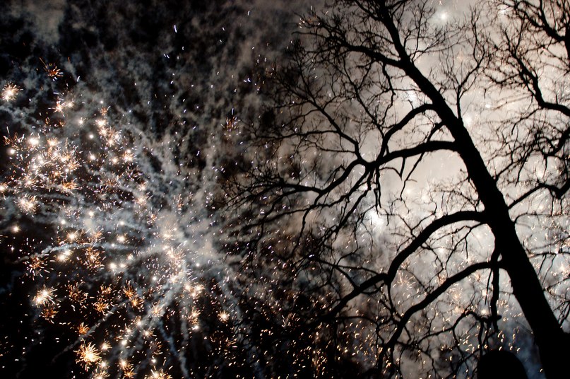 Татьяна Туганова | Владимир