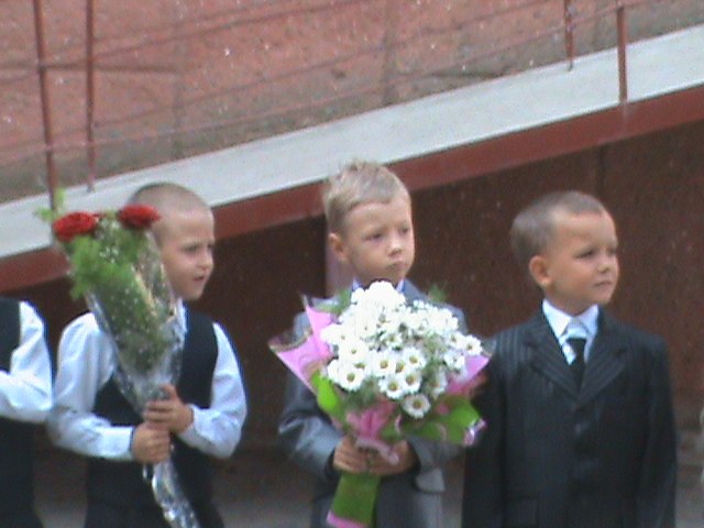 Елена Данилевич | Южное