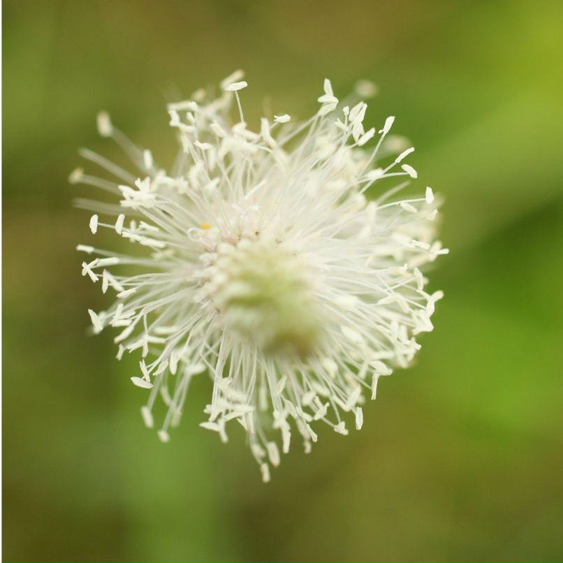 Туяра Андреева | Якутск