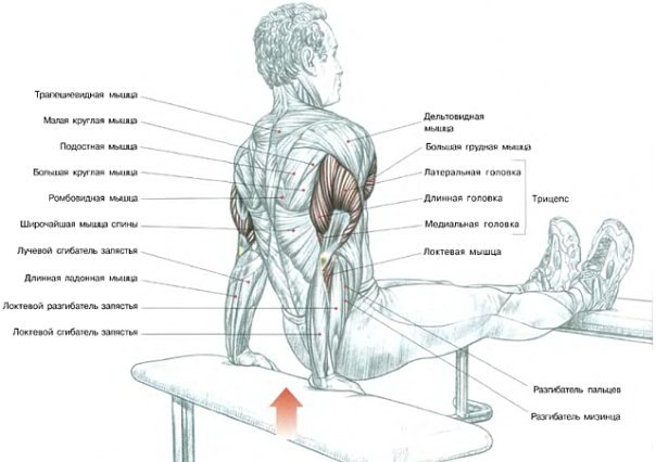 Олег Горшунов | Санкт-Петербург