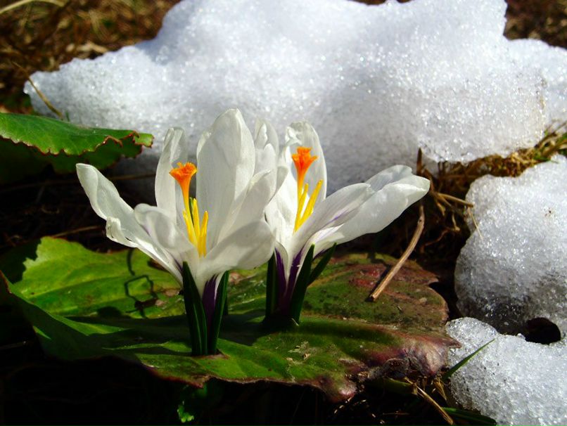 Таня Коломиец | Киев