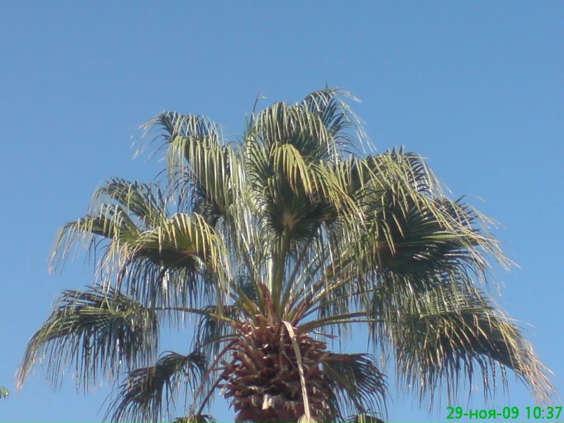 Кирилл Раков | Санкт-Петербург