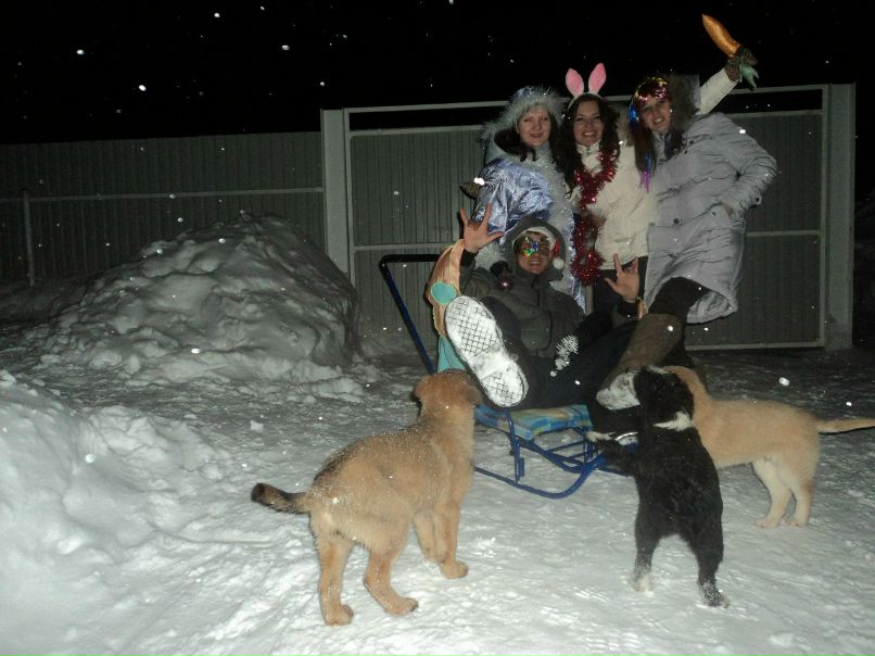 Руслан Сафиулин | Казань