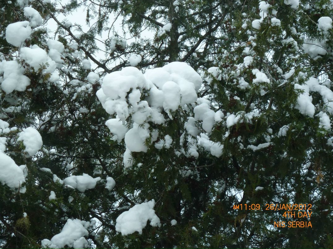 Марина Сойфер | Modi'in-Maccabim-Re'ut