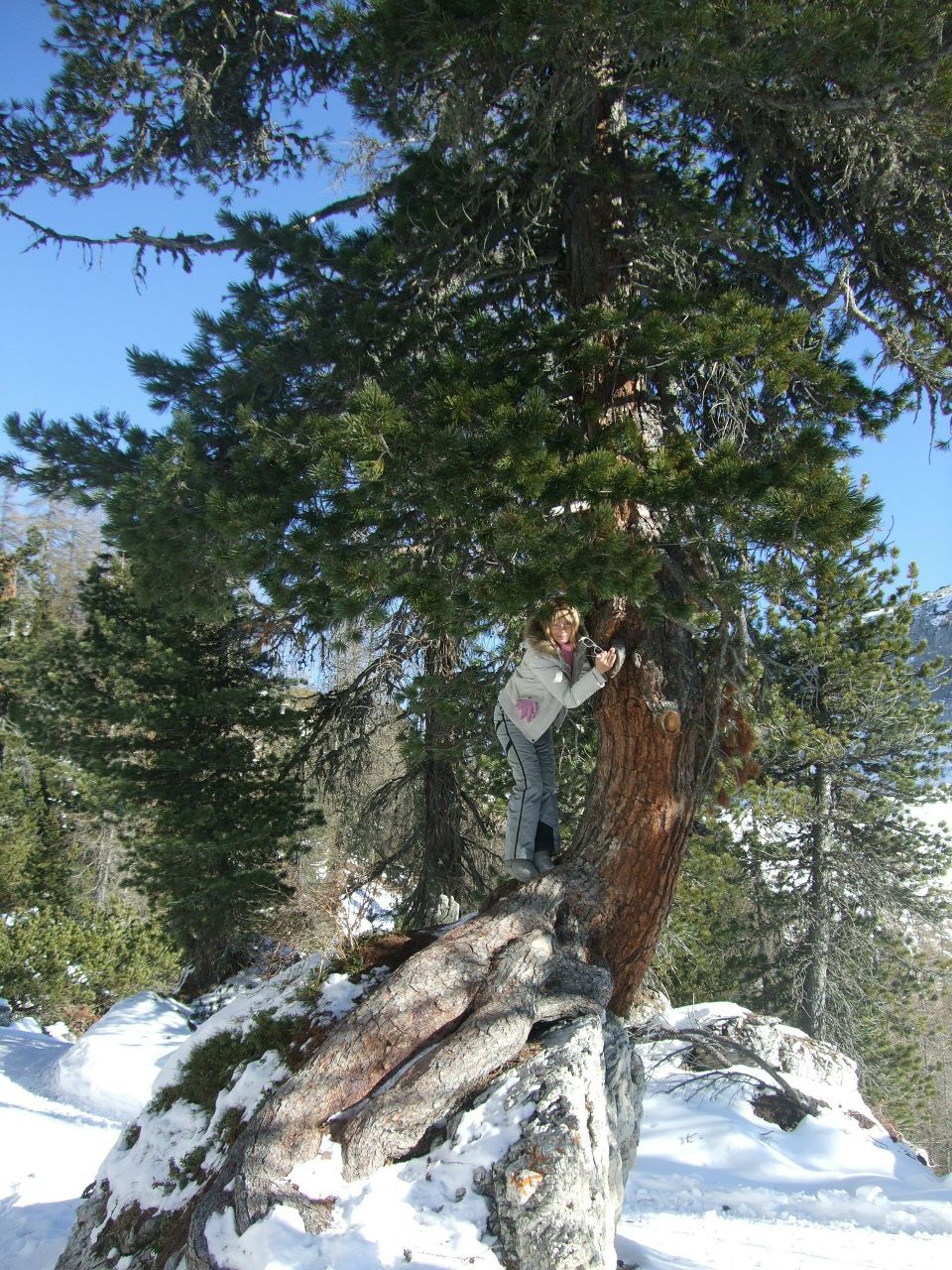 Эльвира Березанцева | Москва