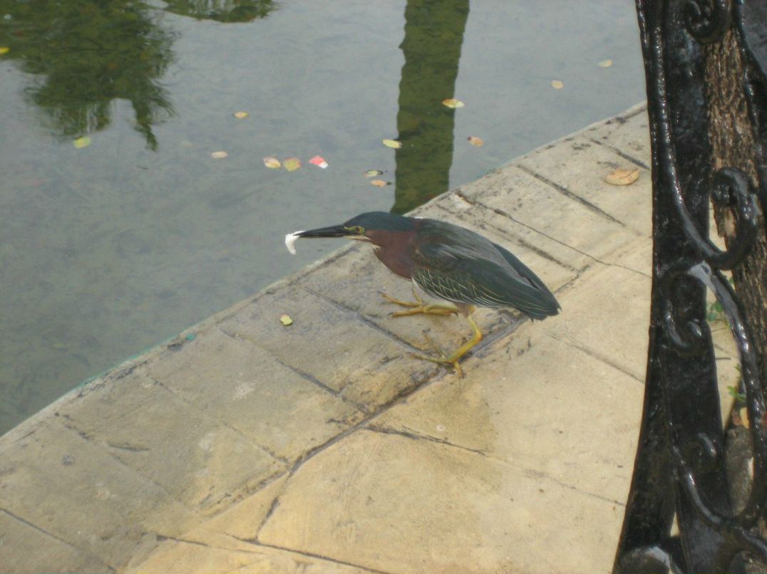 Виктория Угрюмова | Москва