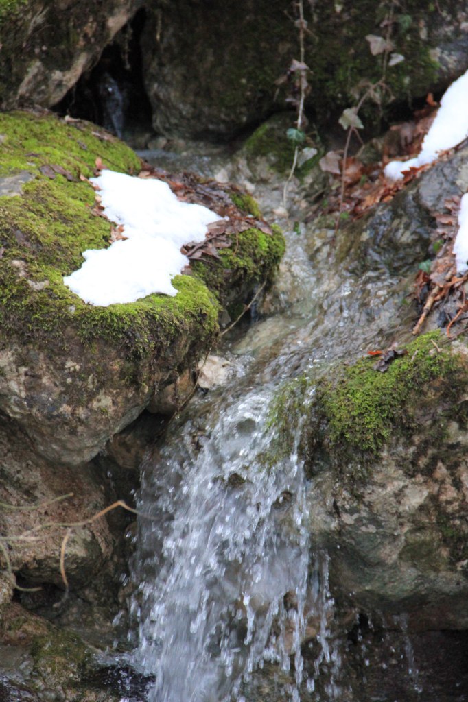 Алексей Пренко | Николаевка