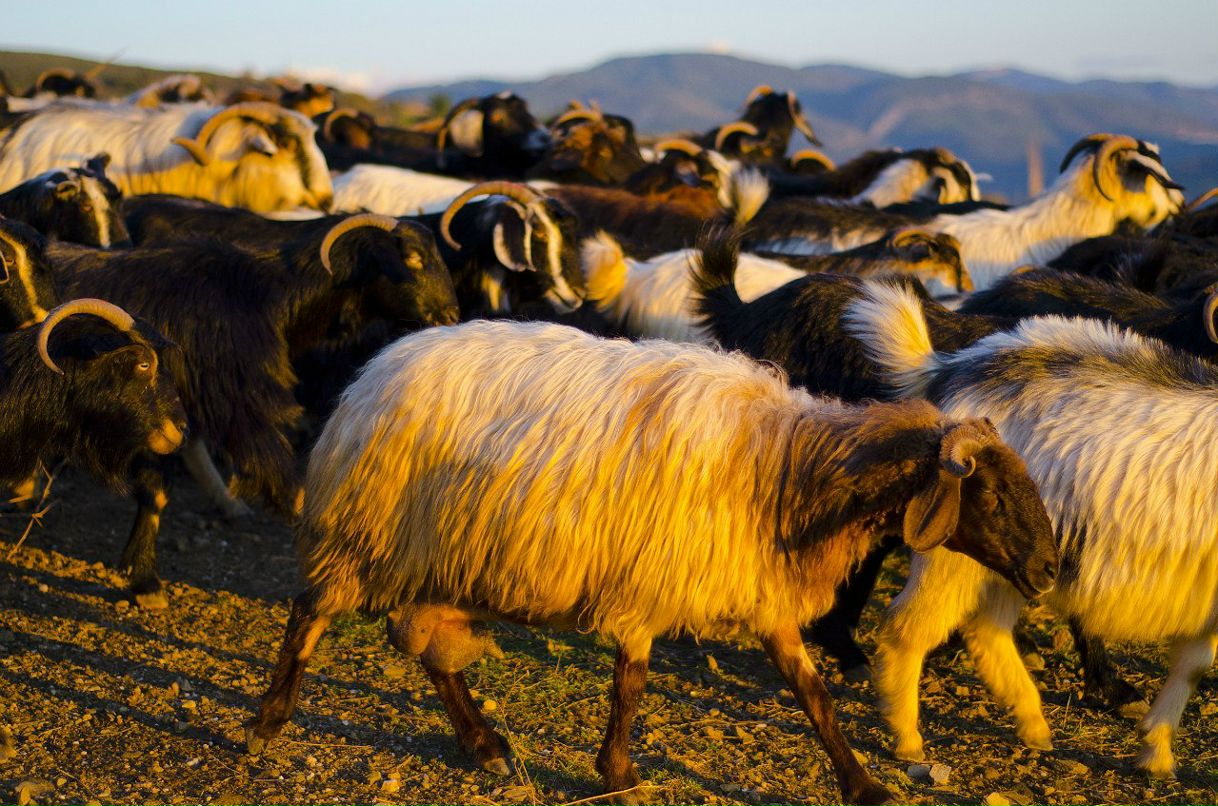 Анастасия Чистякова | Москва