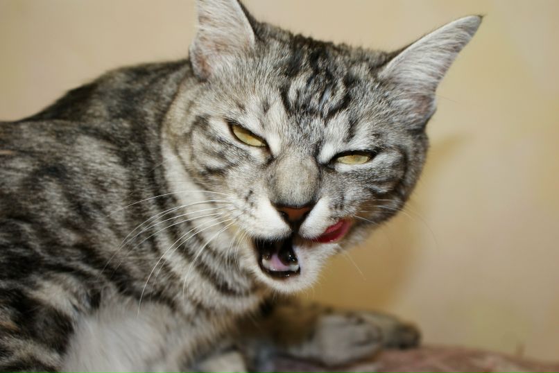 Олеся Вахрушева | Москва