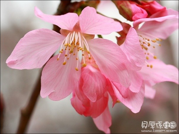 Анна Рубцова | Иркутск