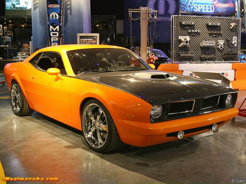 Миша Цапаев | Новосибирск