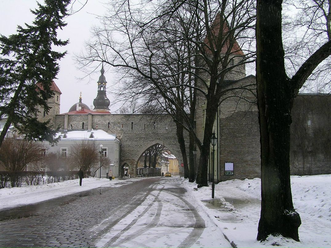 Маргарита Сулина | Санкт-Петербург