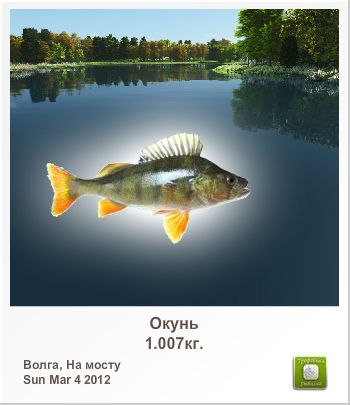 Юлий Павлов | Санкт-Петербург