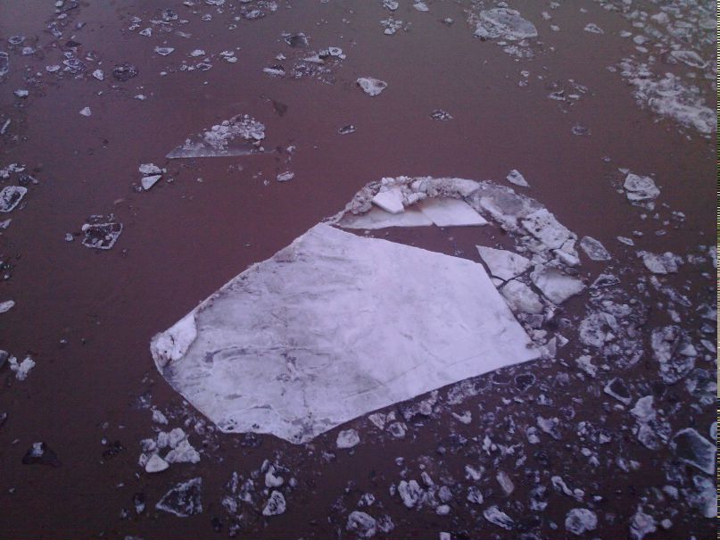 Арнис Зарипов | Уфа