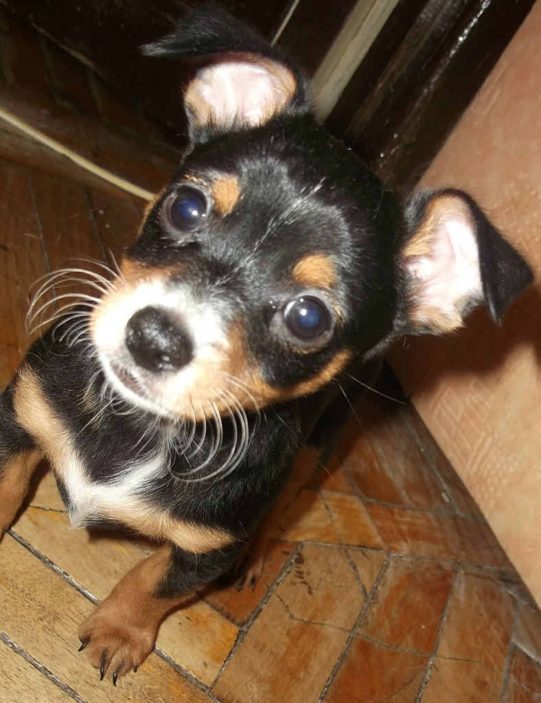 Лена Ηиколаева | Санкт-Петербург