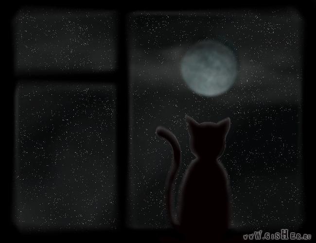 Мария Егорова | Волхов