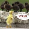 Аватар: Иван Куприн