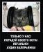 Юляша Фадина фотография #37 (источник - https://vk.com/id56890680)
