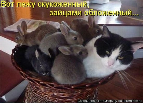 Maria Britik фото со стены #3