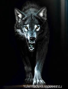 №61, Максим Ковьюк №61, Максим Ковьюк