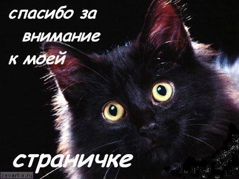 №16, Ольга Рузанова №16, Ольга Рузанова