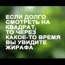 Фотография Роман Пирютко