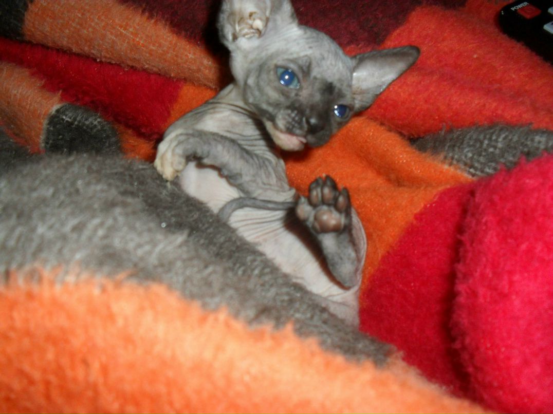 Кристина Сяба | Рязань