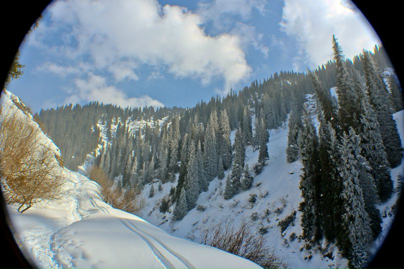 Фойко Бредовый | Алматы