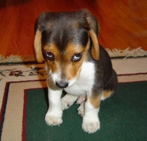 Екатерина Антонова | Москва