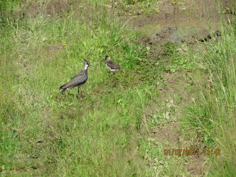 Ольга Маркелова | Санкт-Петербург