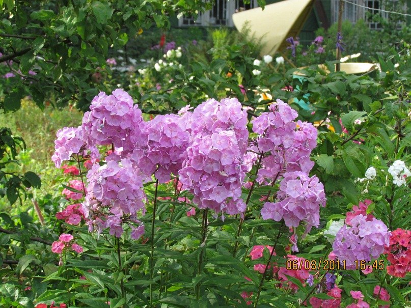 Ольга Маркелова | Санкт-Петербург