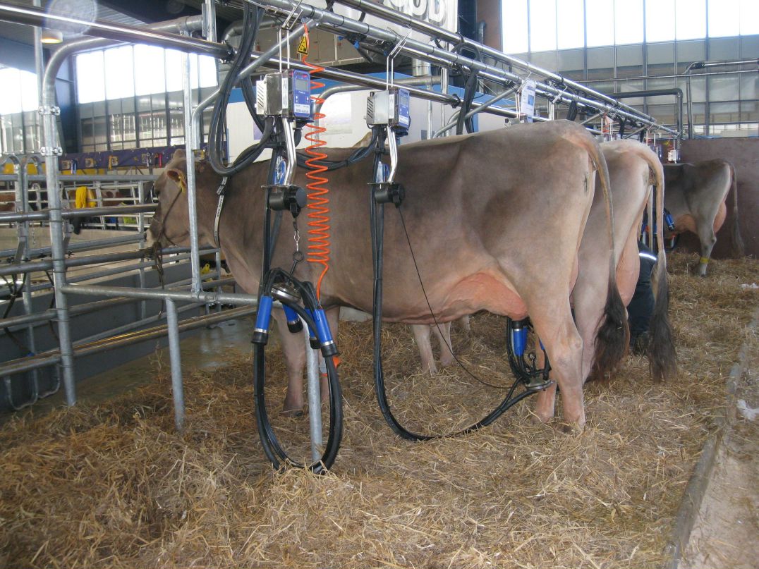 Наталья Титлянова | Lausanne