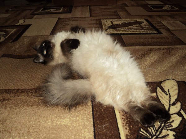 Любовь Носкова | Уфа