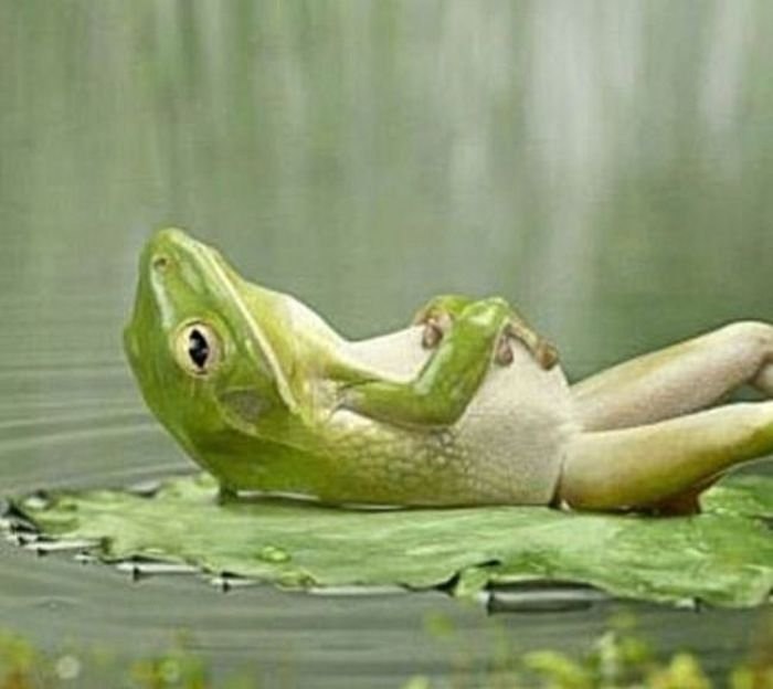 Аня Потапова | Санкт-Петербург