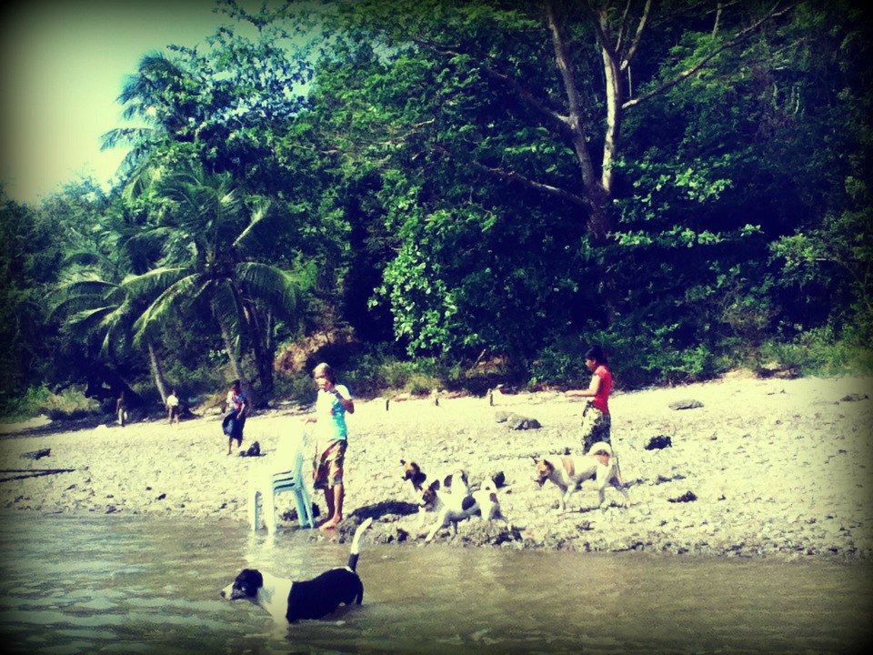 Me Monome | Заславль