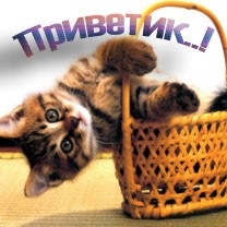 №20, Ваня Вихненко №20, Ваня Вихненко