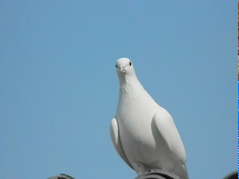 Федор Чугучак | Мичуринское